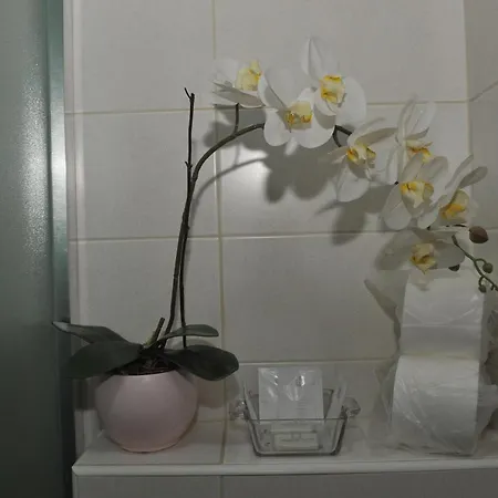 Apartamento Angellina Sremska Mitrovica